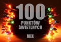 lw-100_mix_[f006][1].jpg