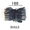 lw-100g_biale_[f003][1].jpg