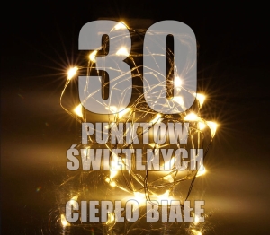 Lampki wewnętrzne na drucie LED Krople Światła LW-LED-KS-30 na baterie