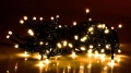 lw-eco-led-100g_cb_[f005][1].jpg