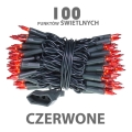 lw-100g_czerwone_[f001][1].jpg