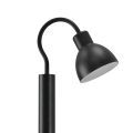 ARNE%20(311931)%201[1].png