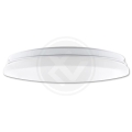20628[1].jpg
