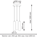 317988_6[1].png
