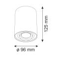 318473_2[1].png