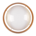 323163_5[1].png