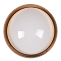 323231_7[1].png