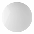 313539_4-scaled.webp