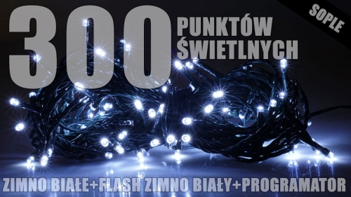 lzs-eco-led-flash-300_zb_[f001][1].jpg