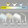 316646_6[1].png