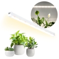 lampa-do-roslin-led-growly-15w-kobi-design-dc33ba1420e6474e8462569a270e5e4e-fd2acdef[1].jpg