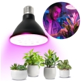 zarowka-do-roslin-led-planty-b-9w-e27-1200k-czarna-kobi-design-7674fc487ea341dbaed7a318cbe64e4a-10784757[1].jpg
