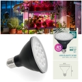 zarowka-do-roslin-led-planty-b-9w-e27-1200k-czarna-kobi-design-979ace47bb424c28bca112192ac0a1c1-10784757[1].jpg