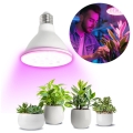 zarowka-do-roslin-led-planty-w-9w-e27-1200k-biala-kobi-design-3507360a14a94b92866965b695583f46-a68b7dd9[1].jpg
