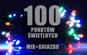 Lampki choinkowe wewnętrzne LED 100 szt. z dodatkowym gniazdem LW-ECO-LED-100G CB ciepło białe (1)