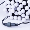 lw-led-sball-100g_zb_[f004].jpg