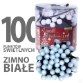 lw-led-sball-100g_zb_[f001].jpg