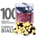 lw-led-sball-100g_cb_[f008].jpg